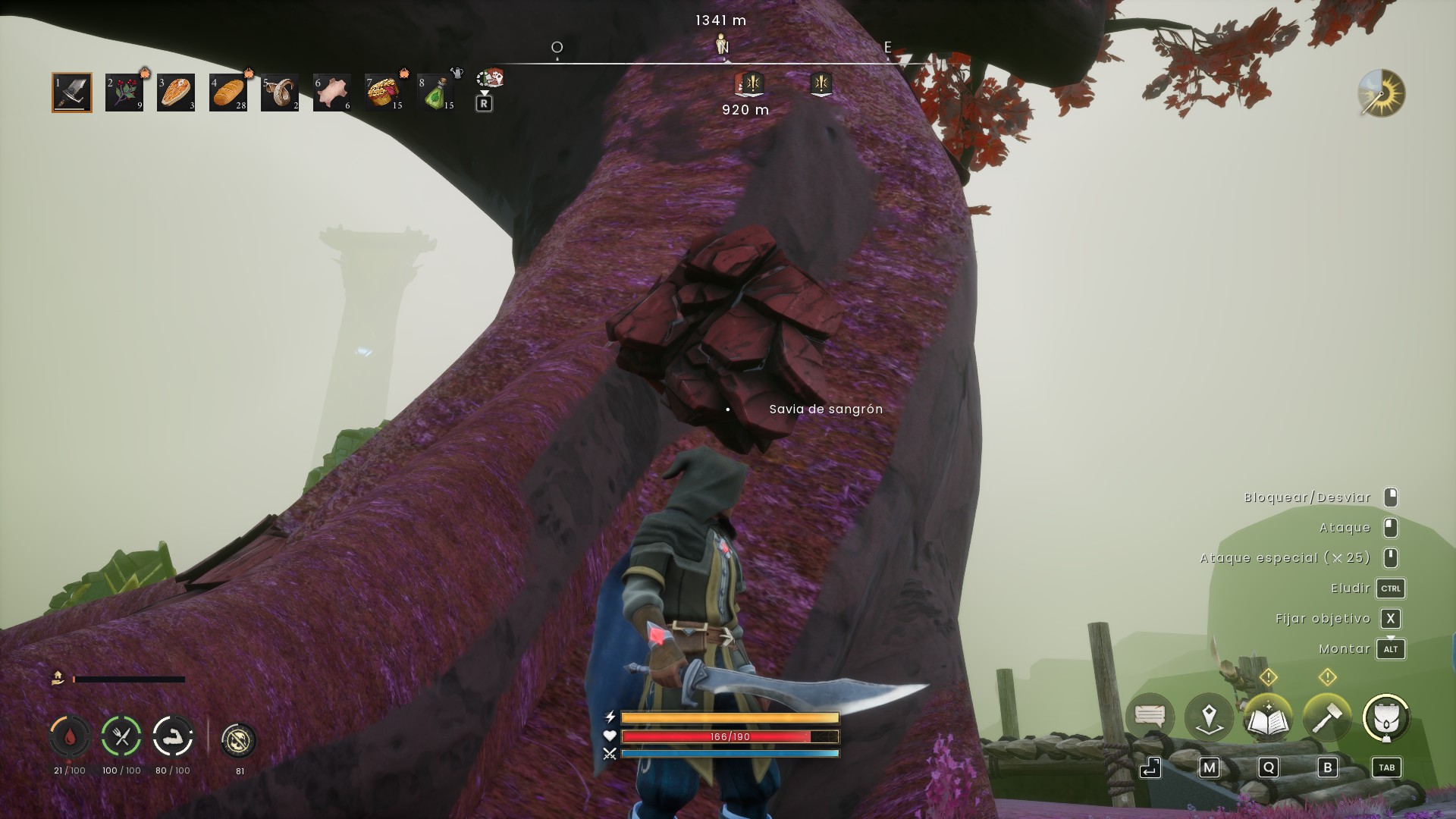 Árbol del que se obtiene la Savia de sangrón